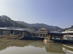 -银湖山郊野公园-相思林