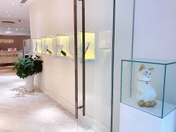 -UP&UP·半永久眉毛眼线机器野生眉