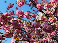 -苏州河梦清园环保主题公园