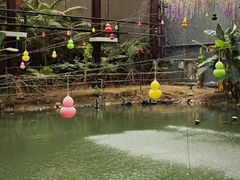 -第五季龙水凤港生态露营农场