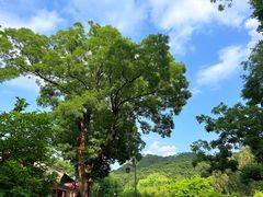 -红螺寺
