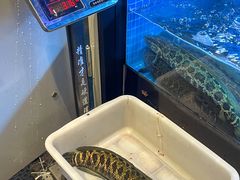 -江南鱼捞(北仑银泰城店)