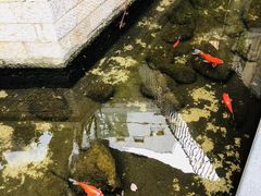 -泉乐坊步行街(烟酒特产平价超市店)