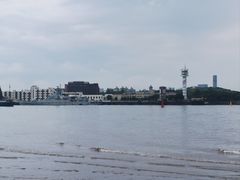 -上海滨江森林公园