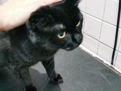 -FAELING PETS美天灵宠物(富力广场店)