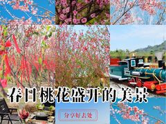 -丹樱生态园