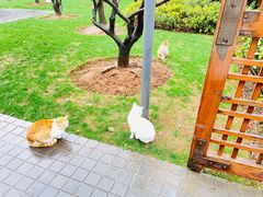 -上海自然博物馆