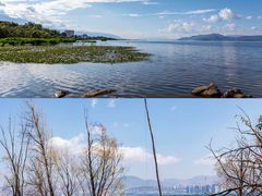 -洱海月湿地公园