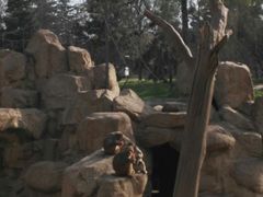 -西安秦岭野生动物园