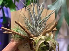 -Rabbit Cafe私房西餐甜点咖啡(栖霞路店)