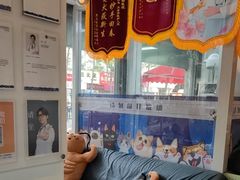 -芭比堂动物医院·心脏科·老年急重症·夜诊·吉雅分院