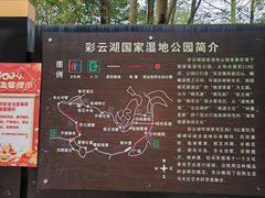-重庆彩云湖湿地公园