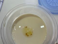 -福巷湘食小馆·猛火现炒(上海首店)