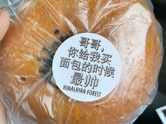 -喜马拉雅森HIMALAYAN FOREST