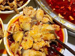 -蛙蛙鸡冷锅鱼(驷马桥店)