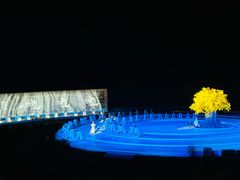 -鼎盛王朝康熙大典实景演出