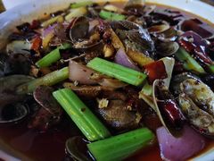 -桐梓锅贴饺(桃源东路店)