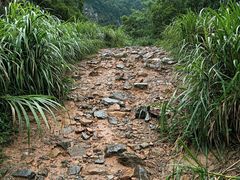 -梧桐山风景名胜区