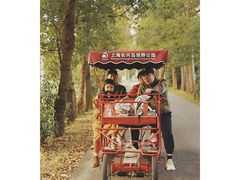 -上海长兴岛郊野公园