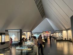 -四川大学博物馆