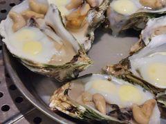原只木桶蒸生蚝-飞尝蚝·顺德菜·鱼生(顺德总店)