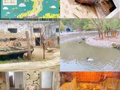 -黔灵山公园