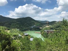 -莫干山郡安里度假酒店-桃尖中餐厅