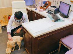 -宠爱国际动物医院·消化内科·心肾内科·ISFM猫友好(望京店)