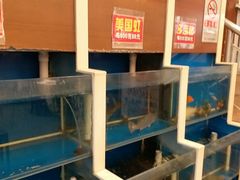 水产区-峨嵋酒家(地安门店)
