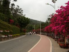 -仙岳公园