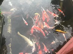 -顺德了能馆(虎门店)