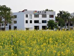 -光明小镇欢乐田园