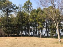 -美兰湖景区