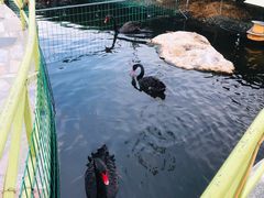 -八景休閒山莊  廣東十大名山莊