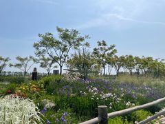 -上海长兴岛郊野公园