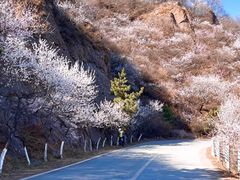 -妙峰山风景名胜区