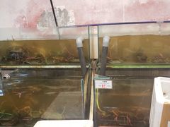 -ZF Seafood Restaurant 卓峰海鲜餐