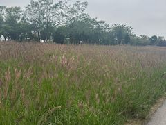 -汉长安城未央宫国家考古遗址公园