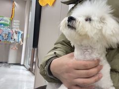 -瑞鹏宠物医院·超声·骨科·奇麟分院(蜀都万达店)