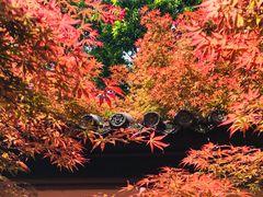 -成都杜甫草堂博物馆