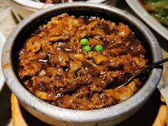 土豆肥牛-佬肥猫(国华广场店)