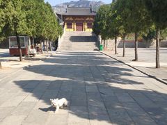 -四门塔风景区