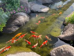 -罗红摄影艺术馆