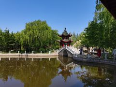 -莱阳濯村樱花园