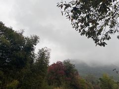 -塔川景区