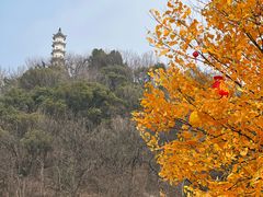 -紫阳古街