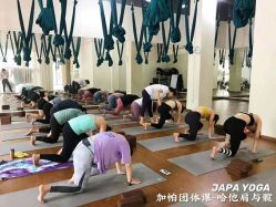 -加帕瑜伽培训学院