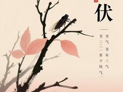-沧州火锅鸡(塔南路店)