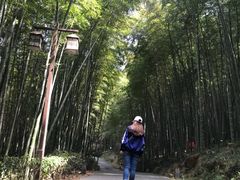 -苏州环秀晓筑养生度假村