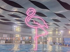 -美再晨游泳馆(新江湾店)